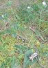 20250729_094349.jpg