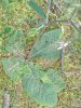20250729_094404.jpg