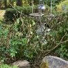 IMG_1164.jpeg