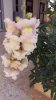 IMAG0454.jpg
