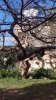 IMAG0467.jpg