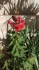 IMAG0473.jpg