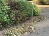 IMG_1231.jpeg