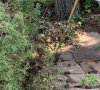 IMG_1232.jpeg
