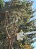 IMG_1271.jpeg