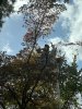 IMG_1302.jpeg