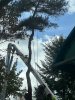 IMG_1283.jpeg