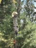 IMG_1321.jpeg