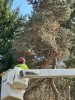 IMG_1281.jpeg