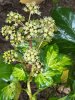 IMG_1553.jpeg
