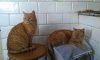 20160123_085135.jpg
