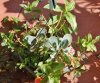 2016-06-10 058.JPG
