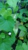 20160630_202940.jpg