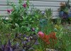 2016-06-29 034.JPG