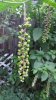 20160801_192817.jpg