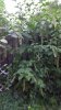 20160801_192821.jpg