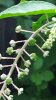 20160801_192847.jpg