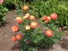 DSCN4513.JPG
