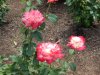 DSCN4518.JPG