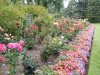 DSCN4521.JPG