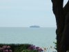 DSCN4535.JPG