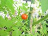 dsc06797.jpg
