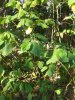 20170220_170612.jpg