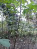20170223_171212.jpg