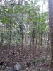 20170223_171122.jpg