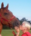 QueenoftheBarn