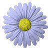 colourmegrae