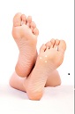 cooky