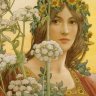 Terra Bella
