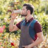 CoffeeGardener
