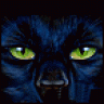 Natural Cat