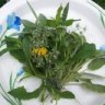 Peppersage