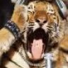 tigris_nl
