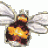 flowerofshona