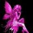 gardenpixie